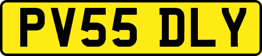 PV55DLY