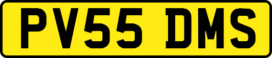 PV55DMS