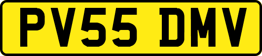 PV55DMV