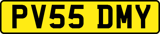 PV55DMY