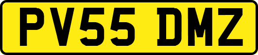 PV55DMZ
