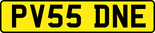 PV55DNE