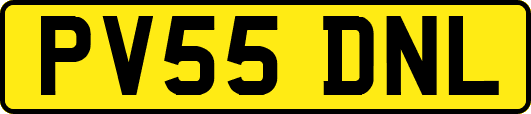 PV55DNL