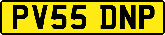 PV55DNP