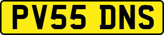 PV55DNS
