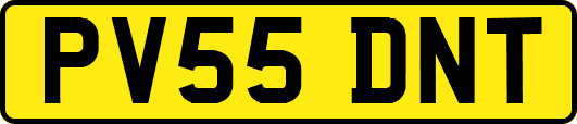 PV55DNT