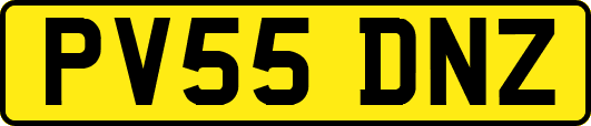 PV55DNZ