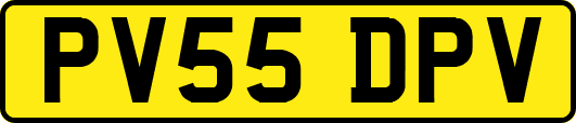 PV55DPV