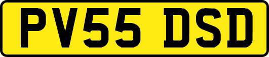 PV55DSD