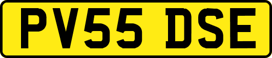 PV55DSE