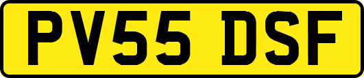 PV55DSF