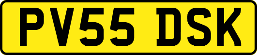 PV55DSK