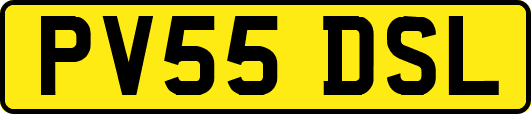 PV55DSL