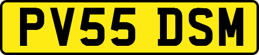 PV55DSM