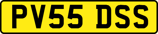 PV55DSS