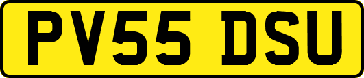PV55DSU