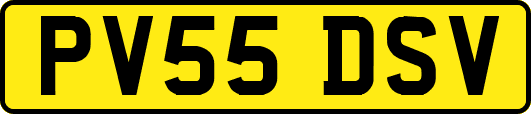 PV55DSV