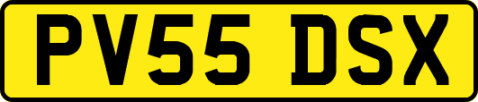 PV55DSX