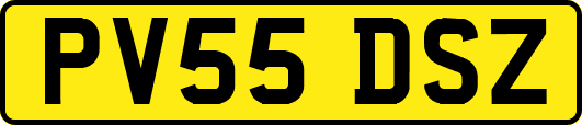 PV55DSZ