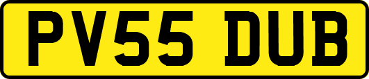 PV55DUB