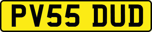 PV55DUD