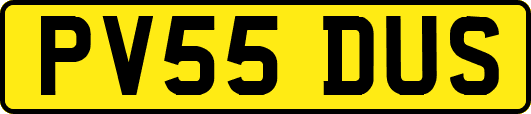 PV55DUS
