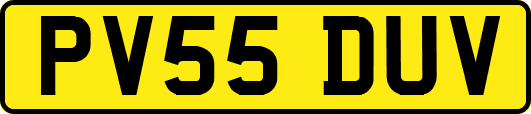 PV55DUV