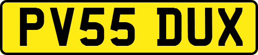 PV55DUX