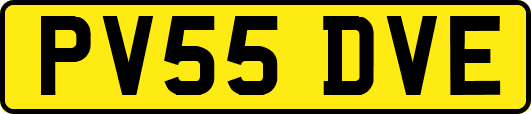 PV55DVE