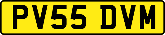 PV55DVM