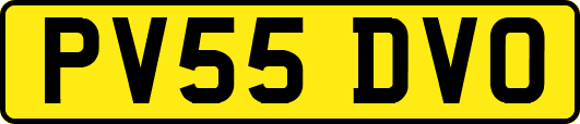 PV55DVO