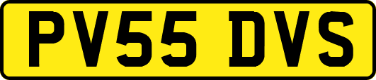 PV55DVS