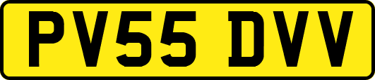PV55DVV