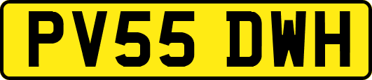 PV55DWH