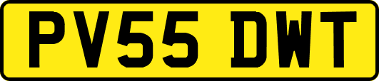 PV55DWT