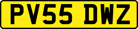 PV55DWZ
