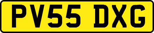 PV55DXG