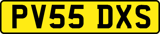 PV55DXS