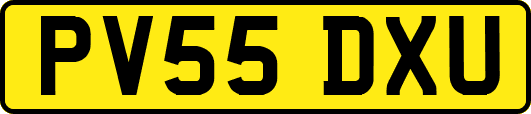 PV55DXU