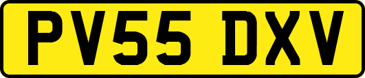 PV55DXV