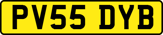 PV55DYB