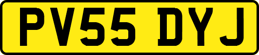 PV55DYJ