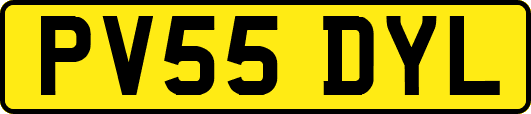 PV55DYL