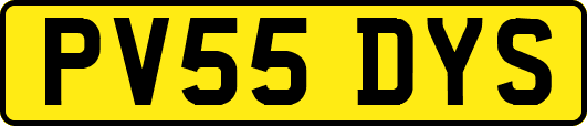 PV55DYS