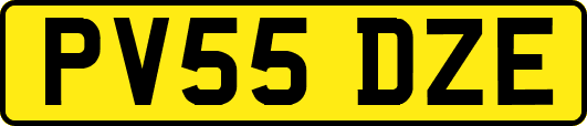 PV55DZE
