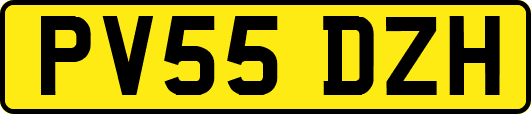 PV55DZH