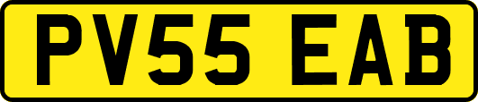 PV55EAB