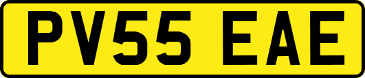 PV55EAE