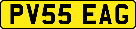PV55EAG