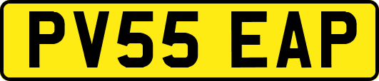 PV55EAP